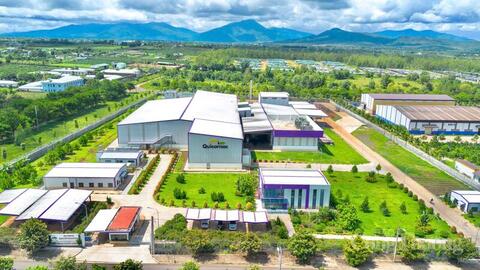 Chanh dây Gia Lai định hình chuỗi liên kết, mở rộng xuất khẩu