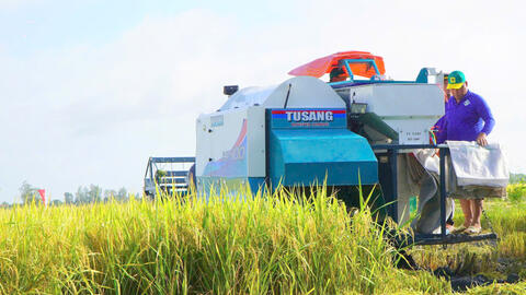 Giá lúa gạo hôm nay ngày 5/4, tuần qua: Tấm thơm giảm nhẹ