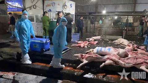 Thực phẩm bẩn vào trường học: Không thể chỉ dừng ở xử phạt hành chính