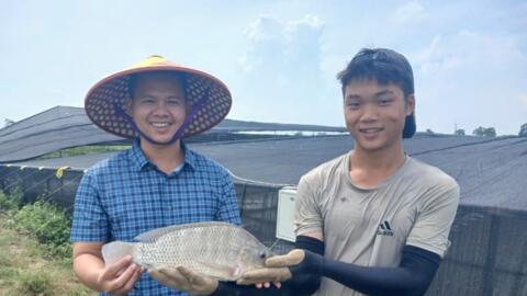 Cá rô phi có tiềm năng thành mặt hàng xuất khẩu chủ lực