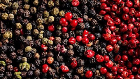 Bản tin nông sản hôm nay (15-4): Giá cà phê, hồ tiêu tăng nhẹ