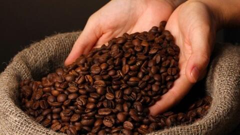 Bản tin nông sản hôm nay (21-4): Giá cà phê tăng