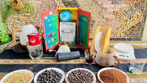 Người mở 'đường băng' cho cà phê đặc sản Gia Lai 'cất cánh'