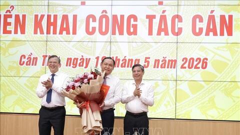 Phê chuẩn đồng chí Lê Công Lý giữ chức vụ Phó chủ tịch UBND TP Cần Thơ