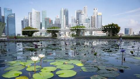 Động lực mới cho hợp tác khoa học công nghệ Việt Nam - Singapore