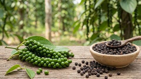 Bản tin nông sản hôm nay (16-6): Giá hồ tiêu ổn định