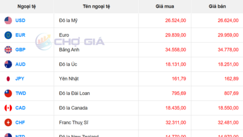 Tỷ giá USD hôm nay 25/6/2026: Đồng bạc xanh lên đỉnh 13 tháng