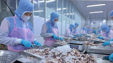 Ngăn chặn gian lận xuất xứ để bảo vệ lợi ích hàng Việt tại thị trường EU