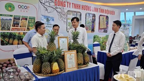 Sản xuất và chế biến xanh để nâng cao chuỗi giá trị nông sản Điện Biên