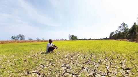 Xâm nhập mặn có thể lấn sâu tại Đồng bằng sông Cửu Long do tác động của El Nino