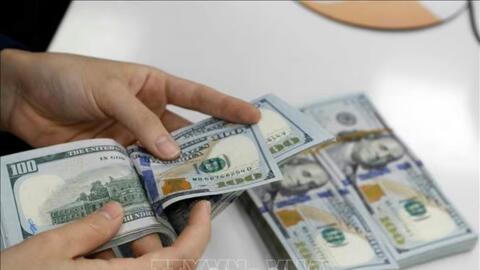 Tỷ giá USD hôm nay (7-8): Đồng USD tăng giá trước báo cáo việc làm của Mỹ