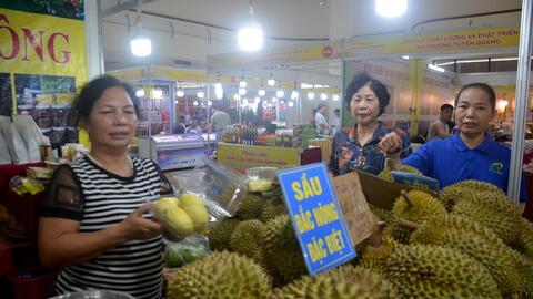 Gỡ khó cho xuất khẩu sầu riêng
