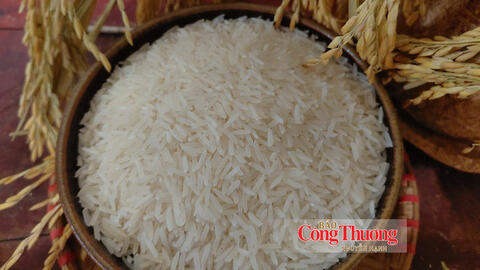 Giá gạo thế giới ‘ấm’ lên, vì sao gạo Việt Nam chưa hưởng lợi?