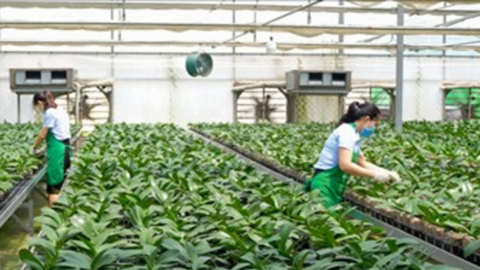 Nông nghiệp sinh thái mở ra hướng đi bền vững