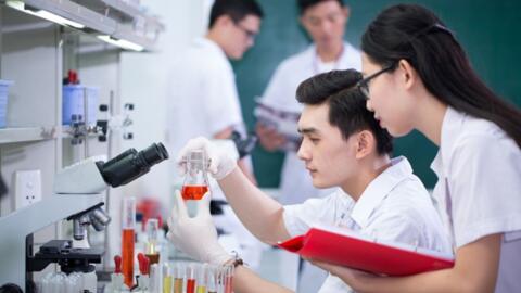 Tạo dựng môi trường và cơ chế để thu hút nhân tài