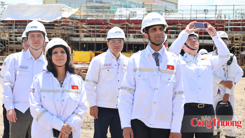 Pacifico Energy khởi động khảo sát hai dự án điện gió ngoài khơi