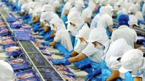 Vĩnh Hoàn tiếp tục bị nhắc nhở vì chậm nộp Báo cáo tài chính