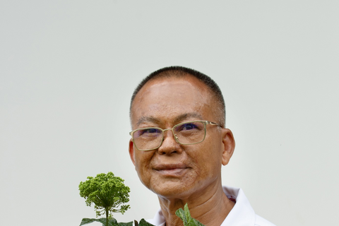 Sâm Ngọc Linh Sơn La: Từ ‘quốc bảo’ đến sinh kế bền vững