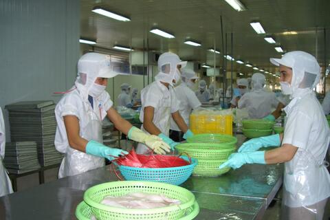 Xuất khẩu thủy sản quý II dự báo tăng nhưng phân hóa theo thị trường