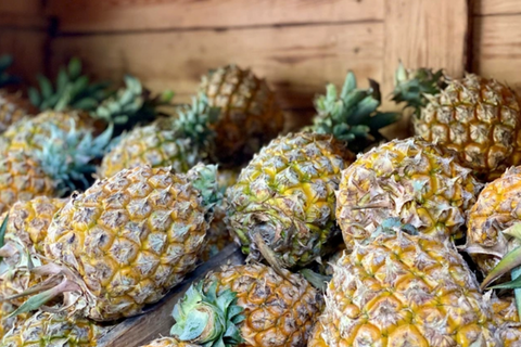 Giá nông sản hôm nay 16/4/2026: Nhiều mặt hàng biến động mạnh