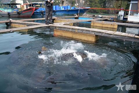 Thủy sản Việt Nam phấn đấu năm 2030 xuất khẩu đạt 14 - 16 tỷ USD