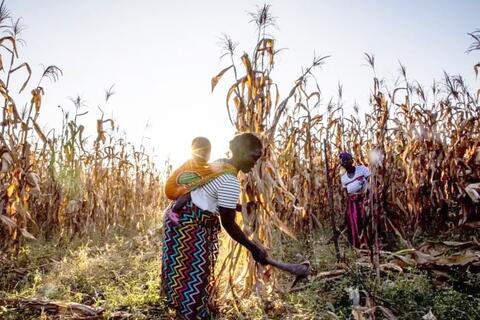 Xung đột Trung Đông: Những “điểm gãy” kinh tế toàn cầu