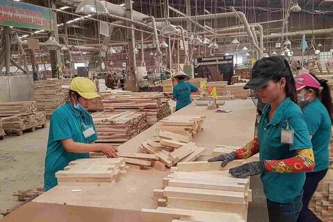 Xây dựng dữ liệu vùng trồng để mở đường cho nông, lâm sản vào EU