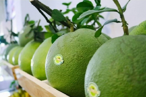 Xuất khẩu quả bưởi, chanh sang Trung Quốc: Cơ hội đi cùng áp lực