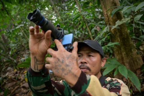 Người dân làng ở Indonesia được trả tiền để quan sát động vật hoang dã