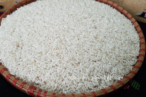 Nâng giá trị hạt gạo, mở dư địa cạnh tranh