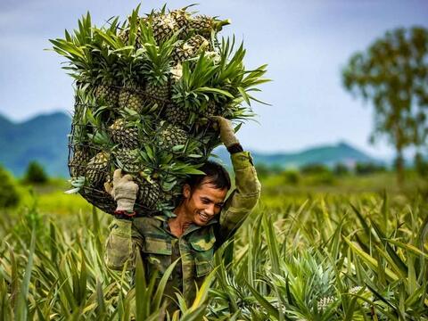 Ninh Bình ban hành Kế hoạch thực hiện Chương trình OCOP năm 2025 sau sáp nhập đơn vị hành chính