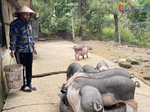 Mỗi sản phẩm OCOP là một "đại sứ" vùng miền