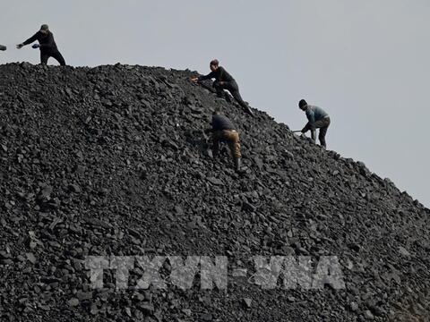IEA: Tiêu thụ than toàn cầu sẽ đạt kỷ lục trong năm 2025