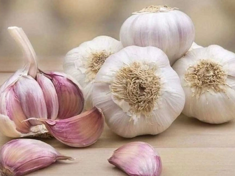 Lợi ích sức khỏe khi ăn tỏi thường xuyên