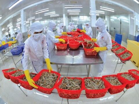 Tín dụng nông nghiệp và xuất khẩu nông sản: “Xoay trục” để kiến tạo vị thế mới