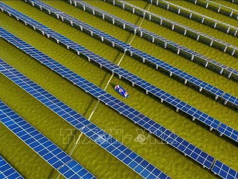 Nhiều dự án điện mặt trời và điện gió bị chậm tiến độ