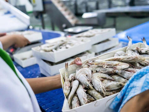 Thị trường EU/Anh giảm cầu: Doanh nghiệp xuất khẩu phải làm gì?