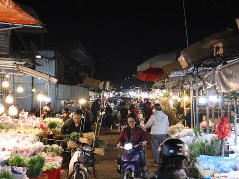 Hà Nội: Chợ hoa Quảng An nhộn nhịp, giá tăng cao dịp 8/3