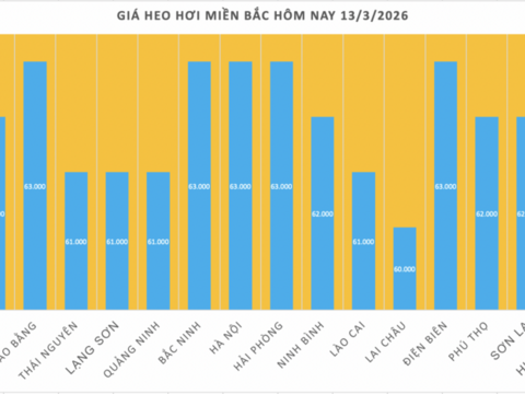 Giá heo hơi hôm nay 13/3/2026: Biến động trái chiều