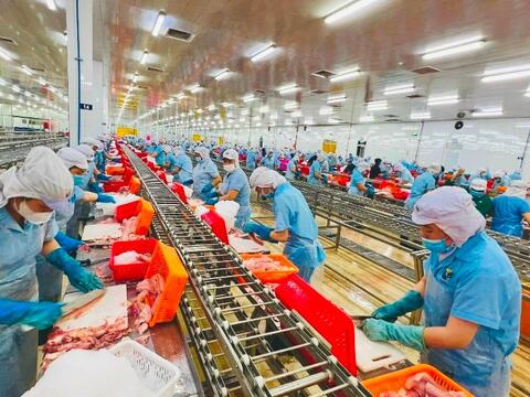 ‏Tiền tệ và tài khóa: Tạo “lá chắn” cho xuất khẩu nông sản ‏