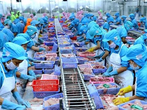 Xung đột Trung Đông: Cơ hội để hàng Việt 'gõ cửa' thị trường Brazil