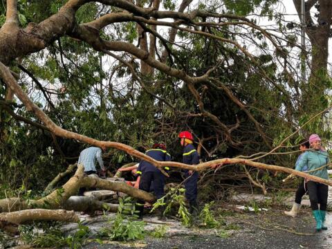 Lào Cai: Hơn 4.100 nhà ở bị hư hại sau mưa dông kèm lốc