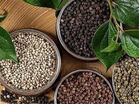 Bản tin nông sản hôm nay (30-3): Giá hồ tiêu tăng nhẹ