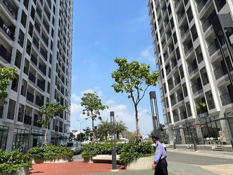 Vì sao thị trường bất động sản khó xuất hiện tình trạng cắt lỗ?