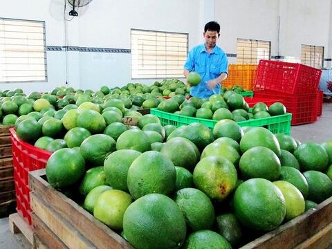 Thương mại Việt Nam - Anh vượt 9,38 tỷ USD, FTA tạo lực đẩy kép