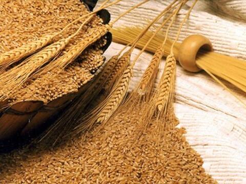 Giá lúa mì giảm hơn 3% do áp lực chốt lời và thời tiết được cải thiện