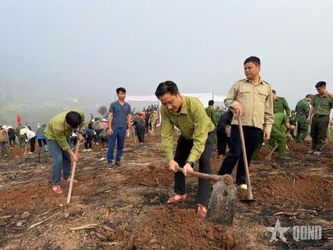 Điện Biên: Phát động phong trào trồng cây năm 2026