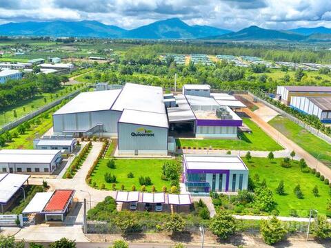 Chanh dây Gia Lai định hình chuỗi liên kết, mở rộng xuất khẩu