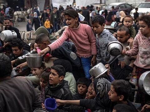 Người Palestine quyết tâm bám trụ quê hương