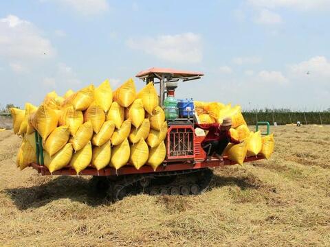 ‏Khi dòng vốn ngân hàng trở thành “chìa khóa” tăng trưởng kinh tế tỉnh An Giang‏‏ ‏